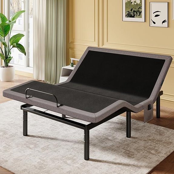 Amada Adjustable Queen Bed Frame with USB & Remote