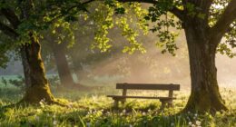 mental rest and recharge