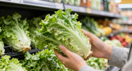 Taylor Farms Lettuce Cyclospora Outbreak