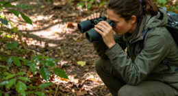 Birdwatching Rewires The Brain And Slows Cognitive Decline